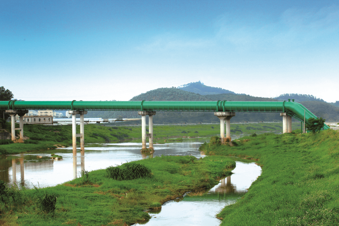 西丽水库明渠调蓄水库松子坑水库自建成通水至今,工程总体运行良好,已
