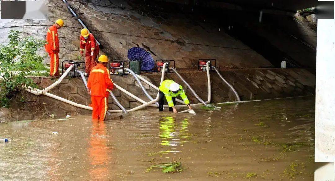 经历|今年的郑州，太难了！