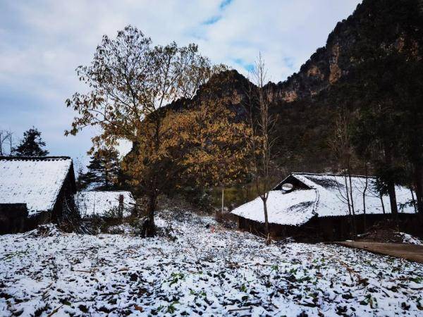 曾家山|今日立冬，四川这些地方下雪了 ！