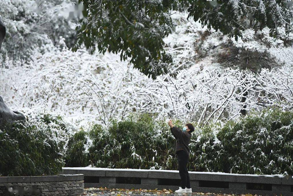 大雪|一片两片三四片，飞入你我眼里边……