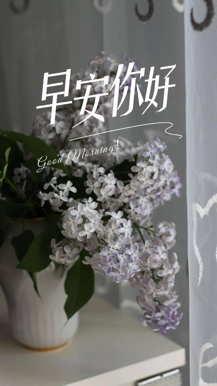 早安晚安心语励志文案语录早上好祝福语正能量图片带字
