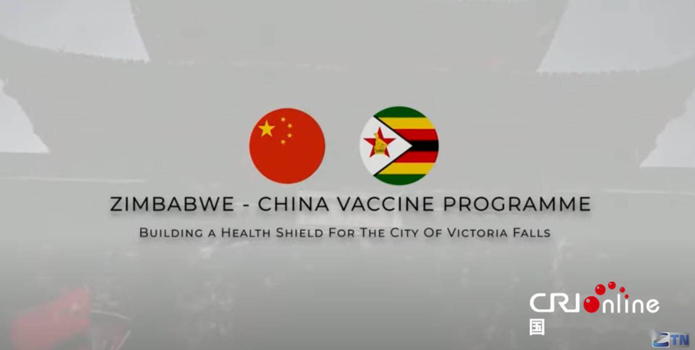 津巴布韦媒体拍纪录片点赞津中疫苗合作