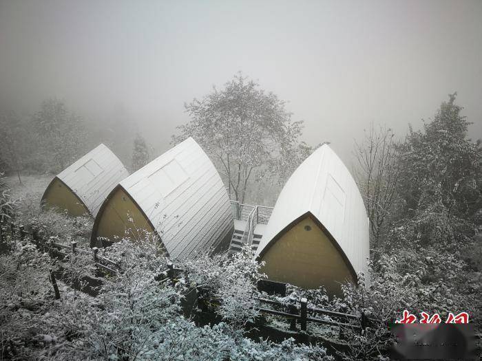 枫叶|四川什邡迎来入冬第一场雪 一片银装素裹