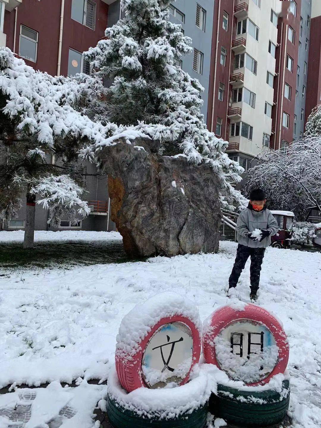 这提前造访的雪精灵所震撼但是保定人还是被虽然早已收到要下雪的消息