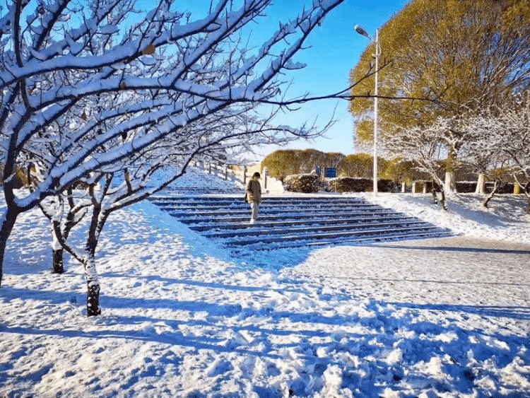 小楚|下雪了。这才是你冬天第一次心动｜新世相留言板