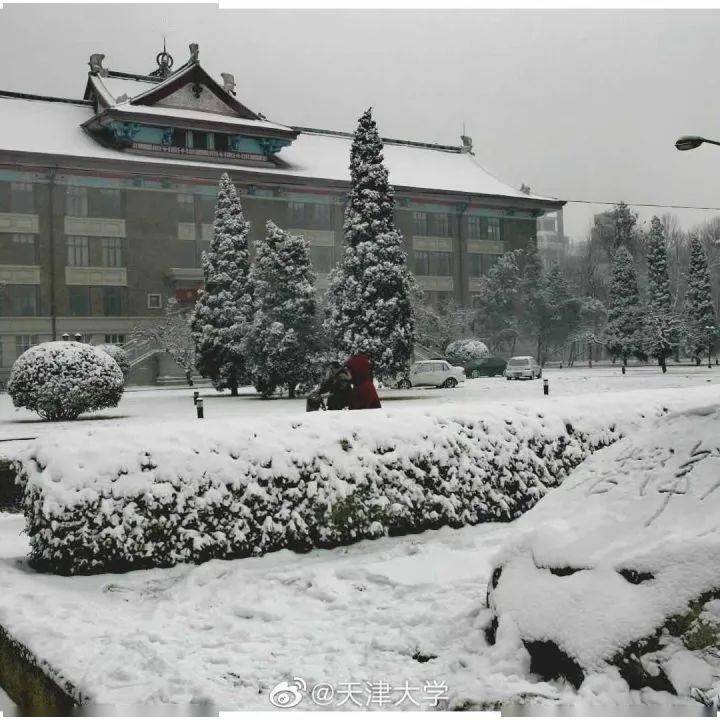 天津高校雪景图鉴！立冬迎初雪，感谢有你！