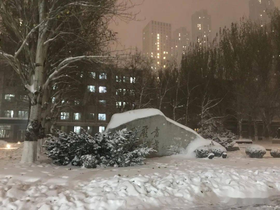 沈阳校区 | 快来领取鲁美专属白色限定啦