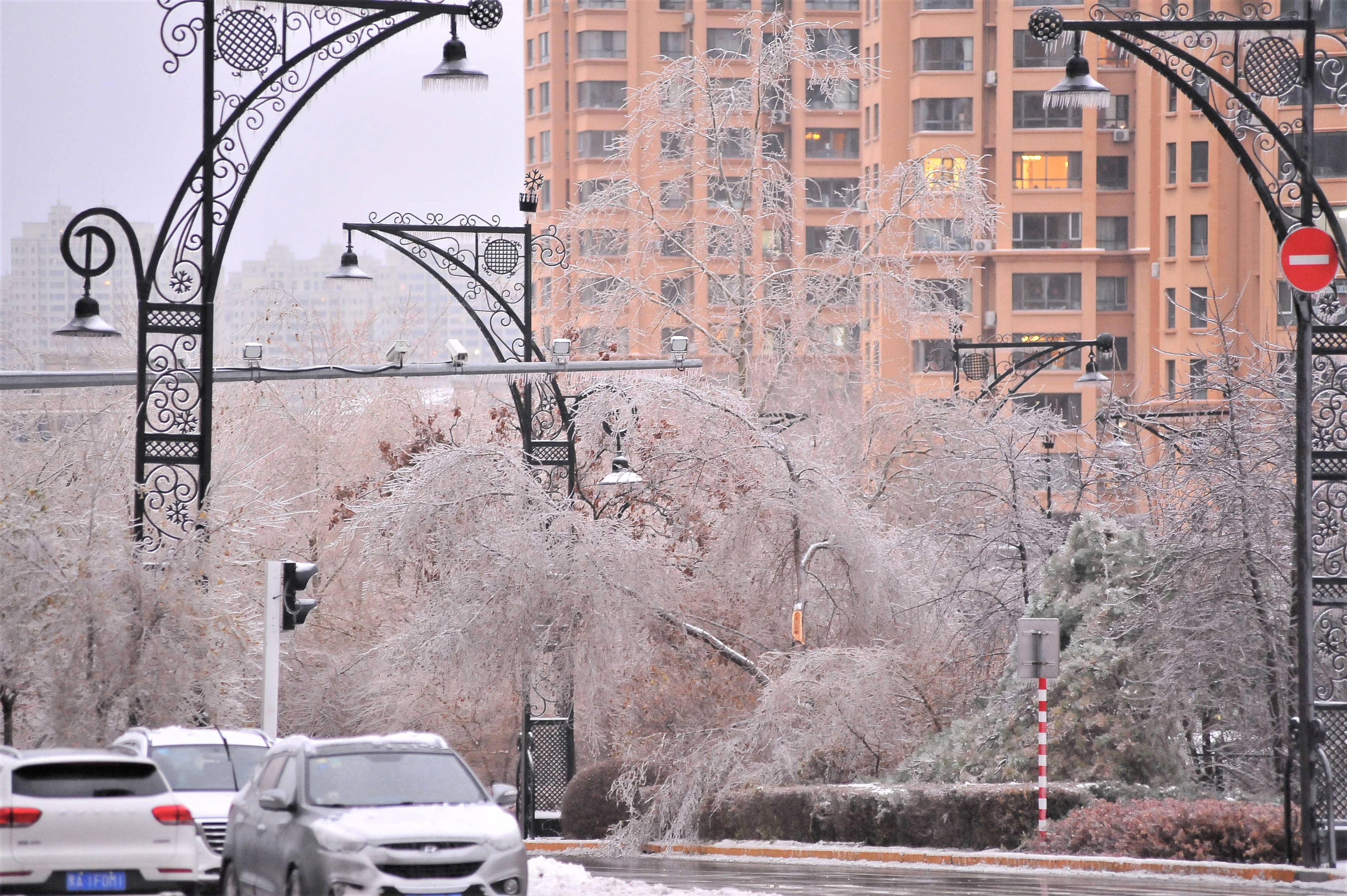 8日,暴雪中的哈尔滨又迎来了冻雨,大风,道路结冰,人们在狂风中艰难