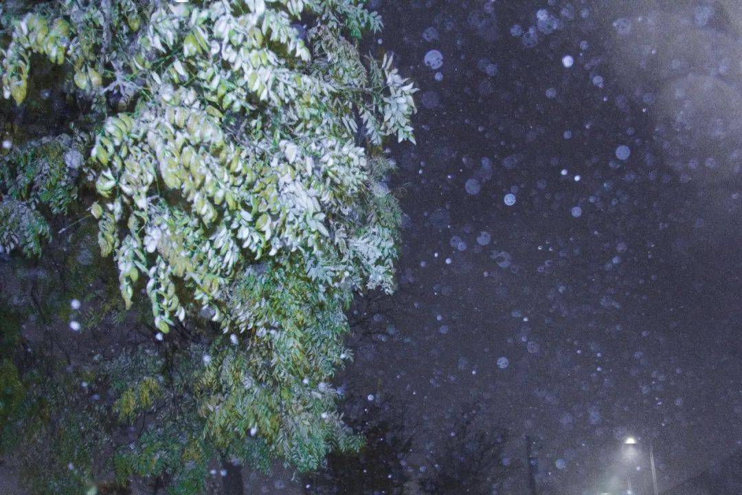 漫天飞花2021大外第一场雪