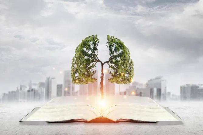 医学|肺康有道 | 老年人居家排痰困难,有效拍背学会了吗?