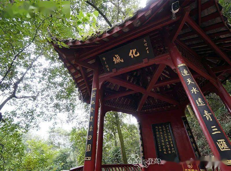 乐言乐语丨登高望故人,烟树参差见