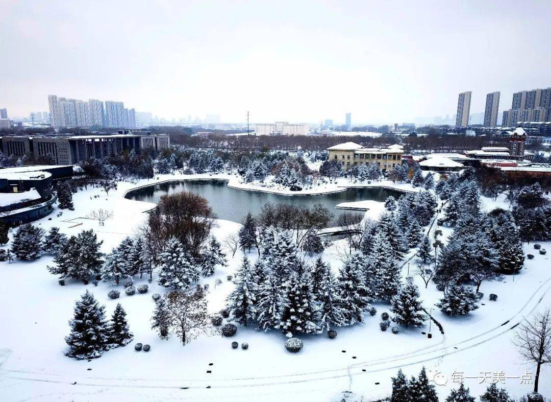 一下雪,东软软件园便成了童话世界.