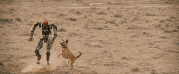 大脑|疲了一年的好莱坞大片，终于硬起来了