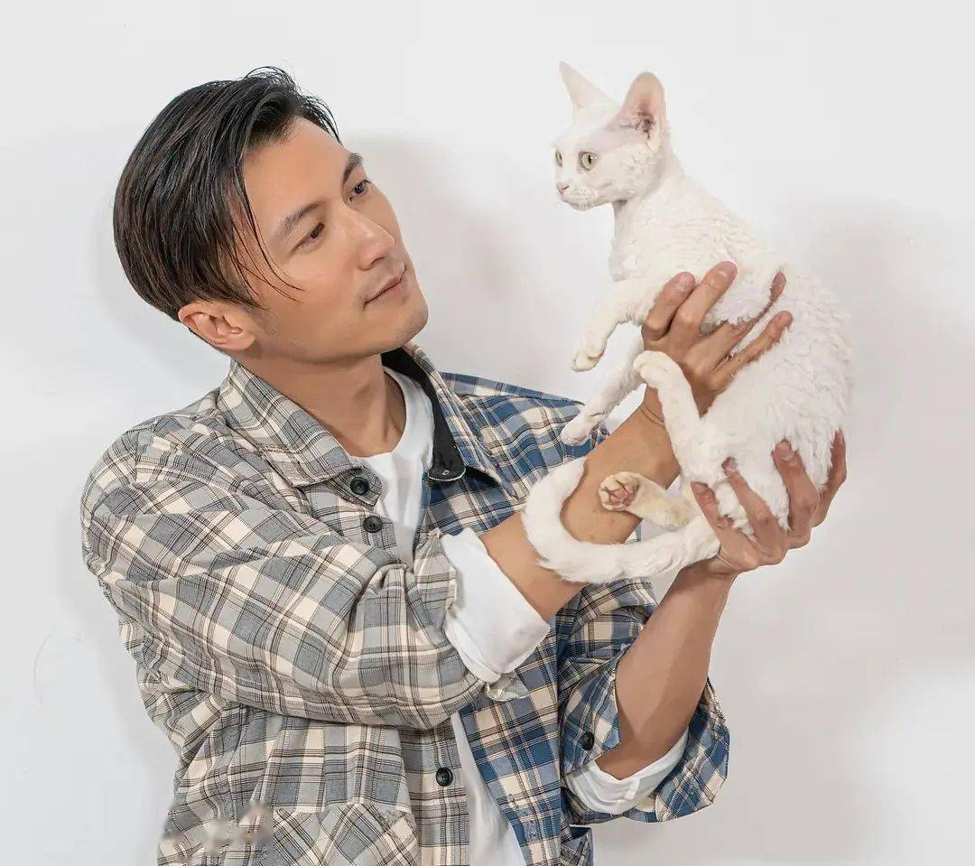 谢霆锋啊你偷偷用猫薄荷洗澡了吗