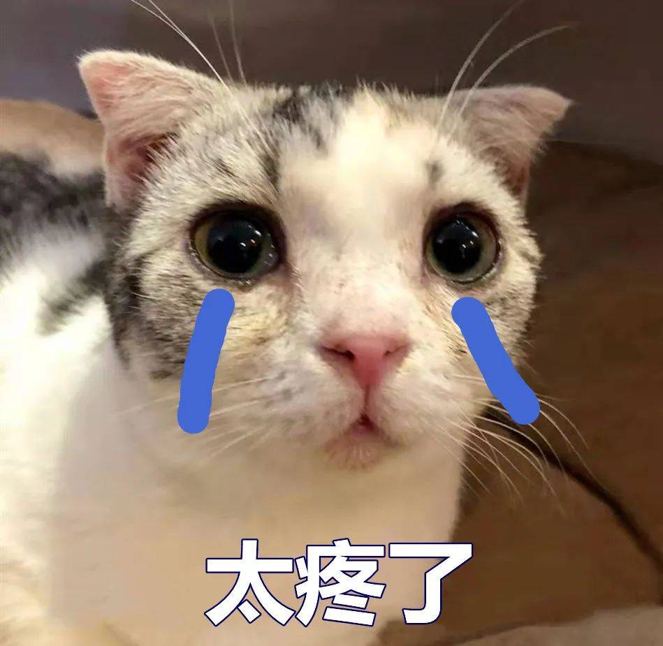 男子|太惊险！厦门一男子吃完鱼后疼痛难忍，3厘米长鱼刺竟卡在……