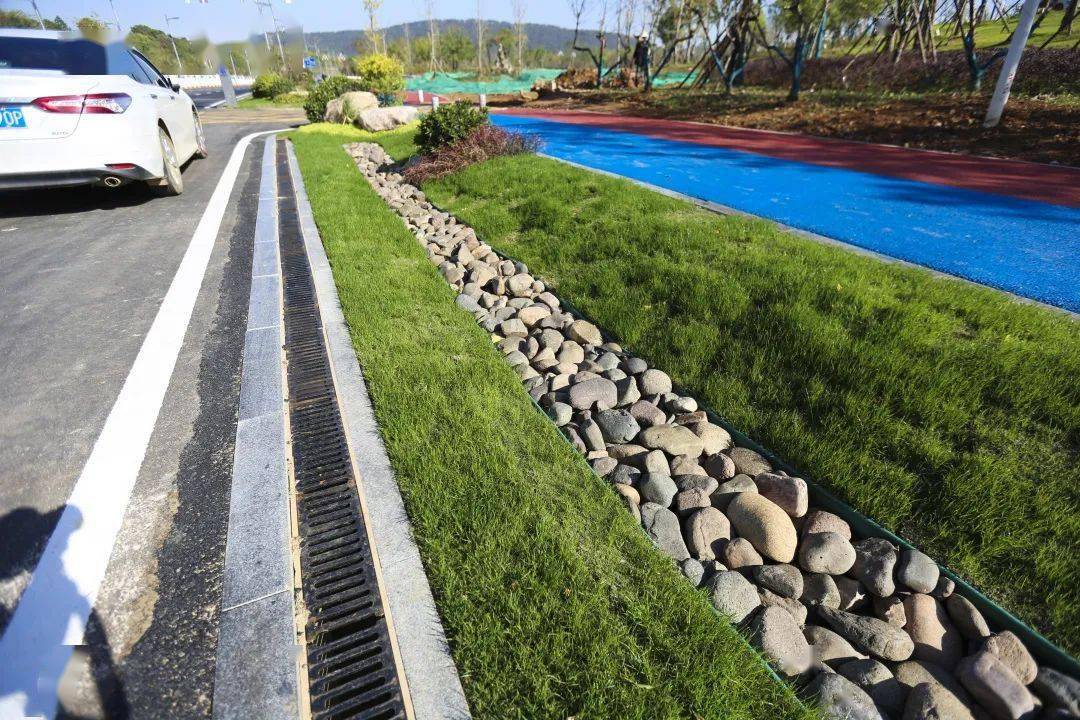 线性排水沟和生态排水沟两重设计此外,绿化带采用线性排水沟及生态