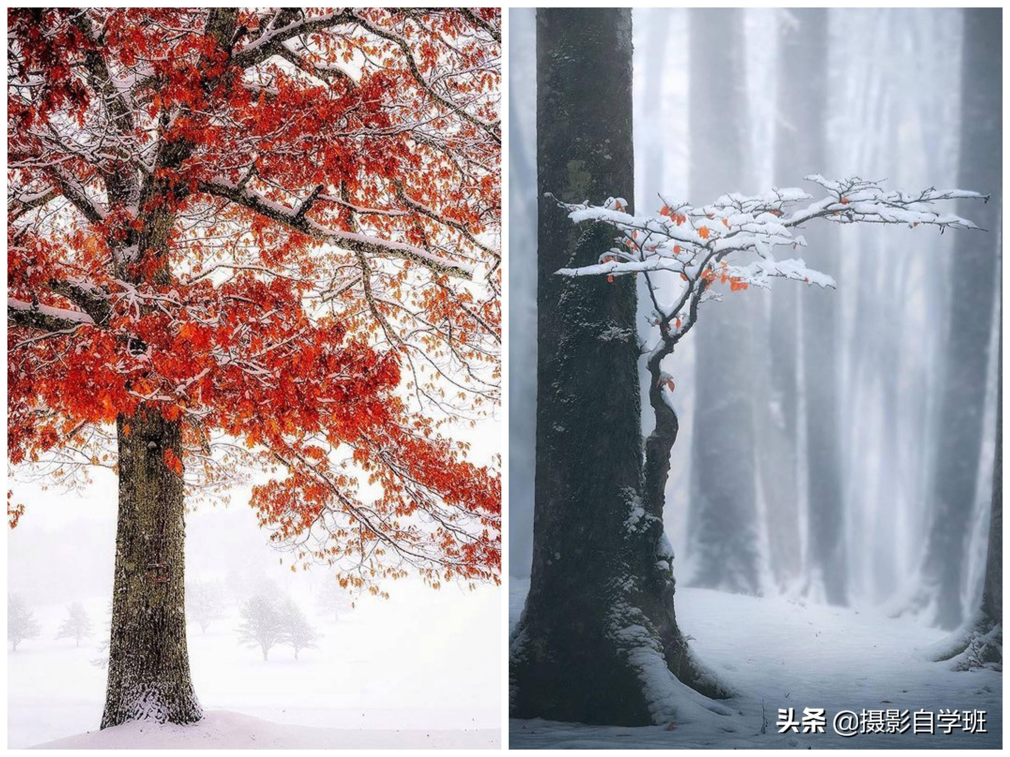 冬天的第一组雪景照片,必须美起来!这11个雪景摄影技巧能帮上你