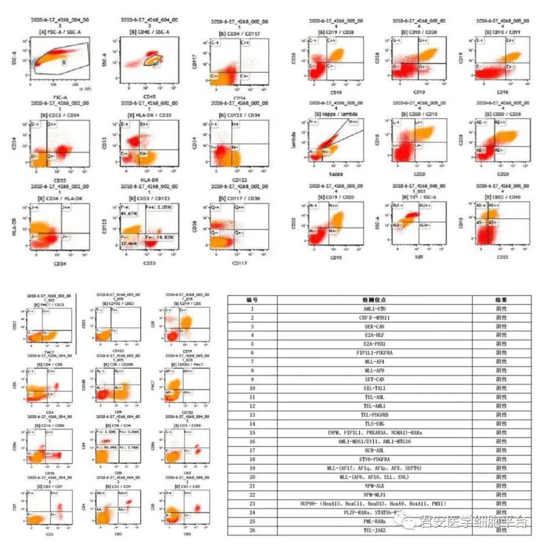 骨髓流式骨髓涂片b超检查淋巴细胞甲功 肿瘤标志物免疫球蛋白 补体