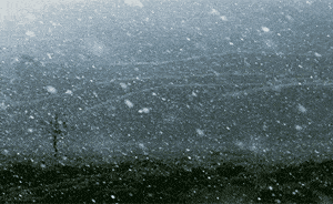 300_184gif 动态图 动图