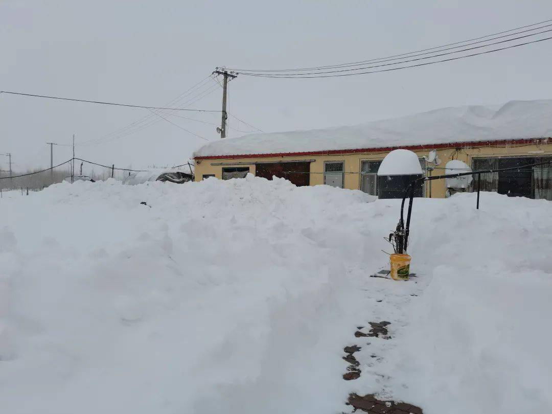 11月8日,内蒙古通辽市科左后旗甘旗卡镇,消防员为居民清理积雪(图源