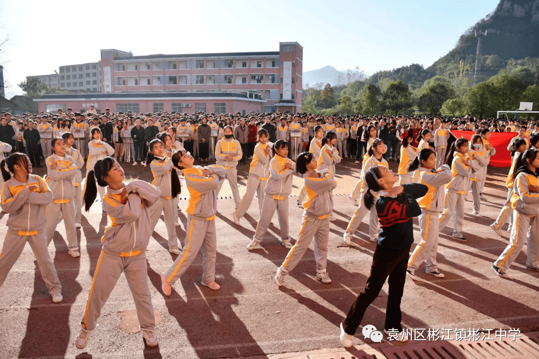 江西省宜春市彬江中学图片