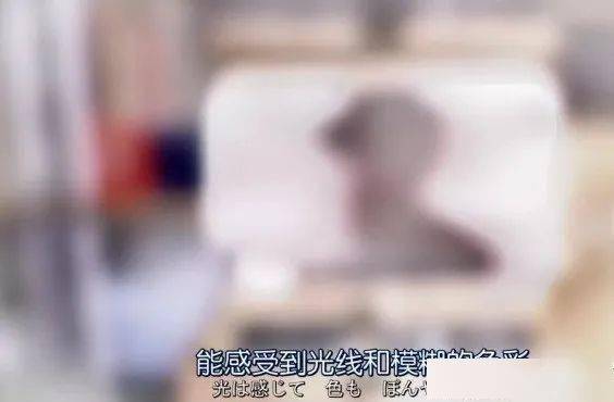 因为|弱势少女x不良少年，这样可爱又温柔的小狼狗谁顶得住啊？