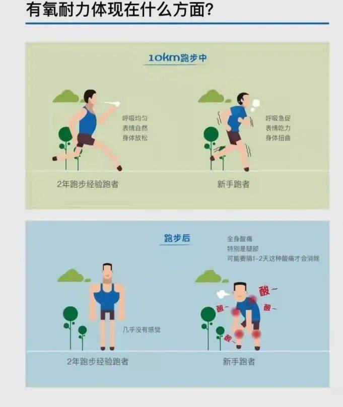 第五大生命体征——有氧能力_运动