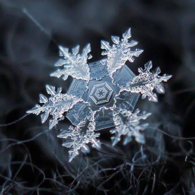 雪花神奇！他用显微镜100倍拍摄雪花，引上万人围观：好美~