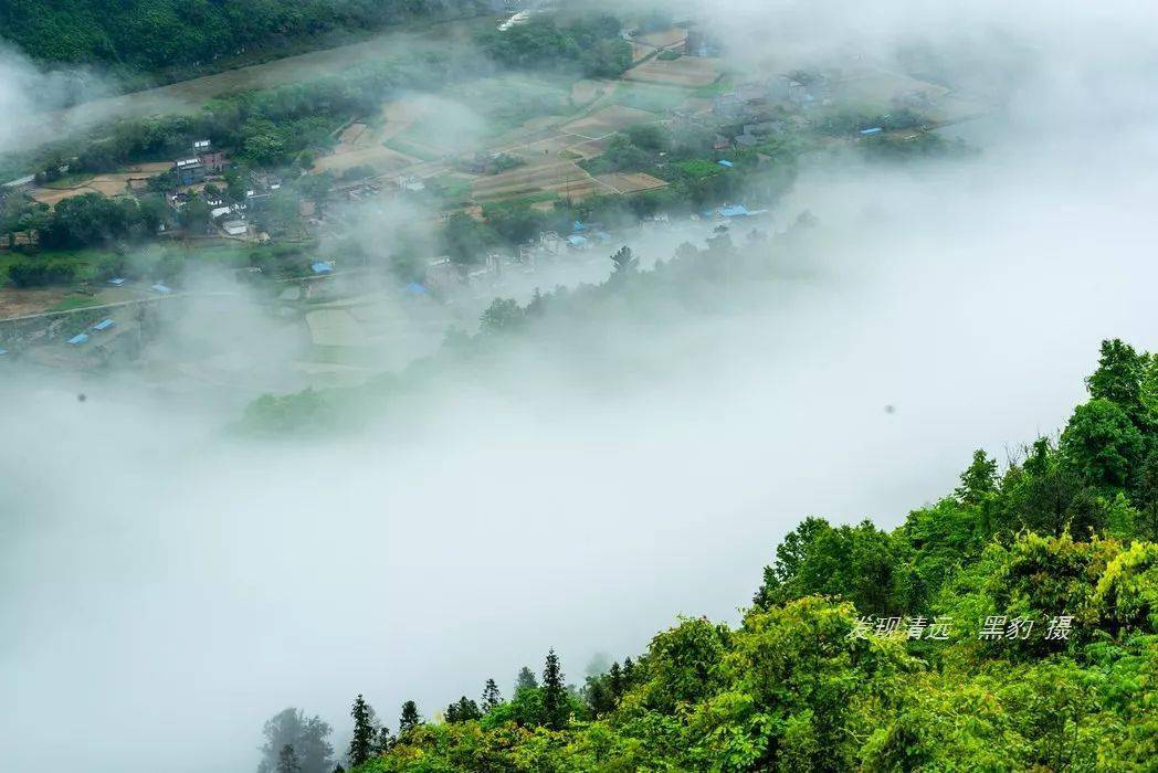 就在今天早上陽山縣秤架大峽谷驚現廣東罕見的雲海奇觀