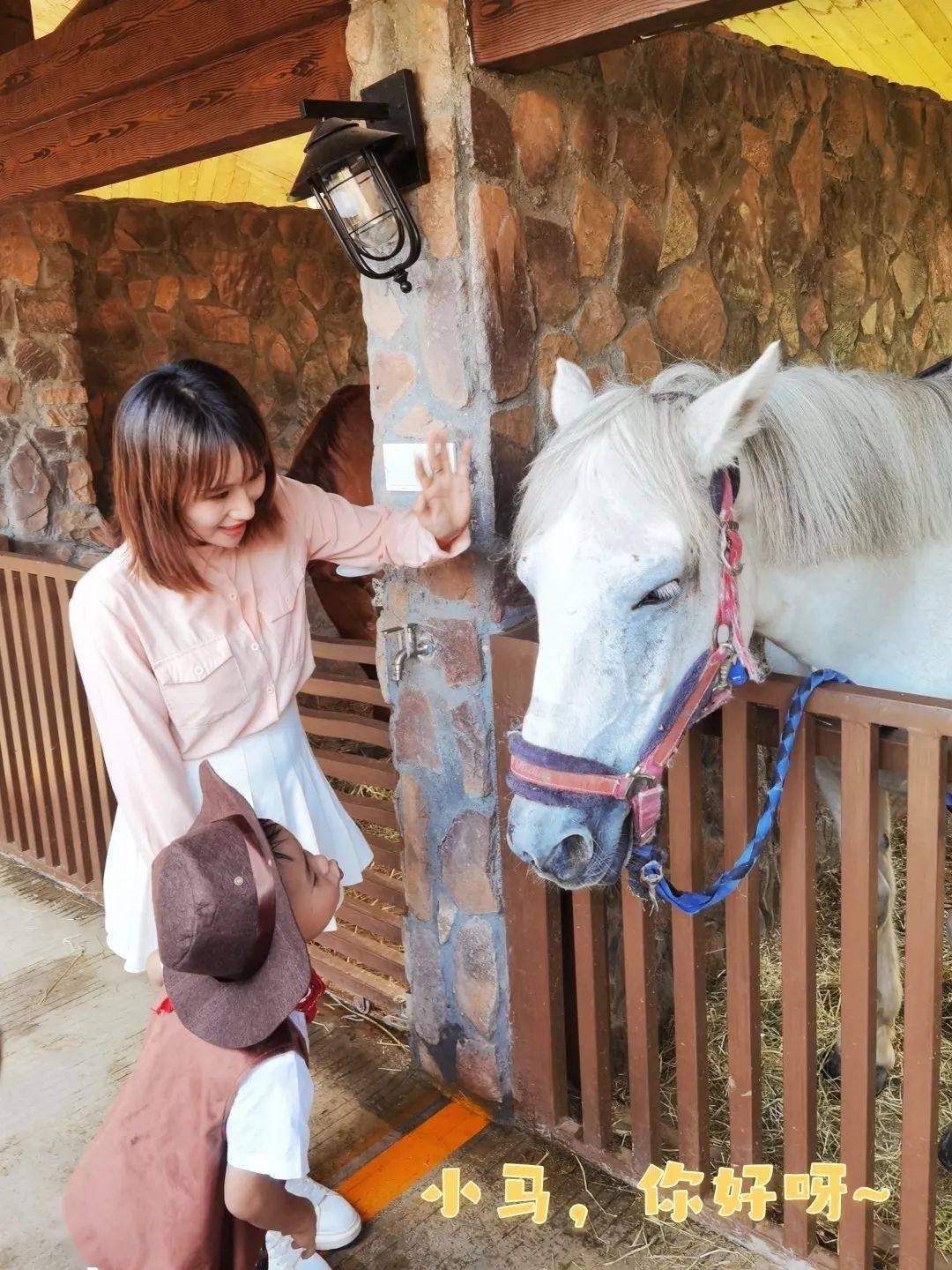 隔壁的小馬俱樂部帶你體驗英倫馬術大人騎大馬,小孩騎小馬每個人都能