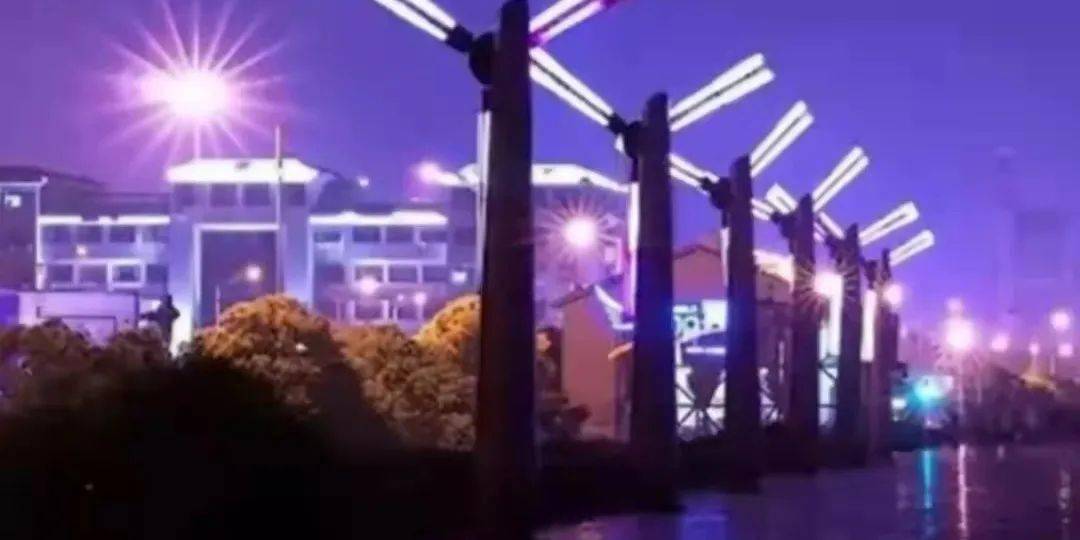 江杜师大独家限定，双十一就买它！