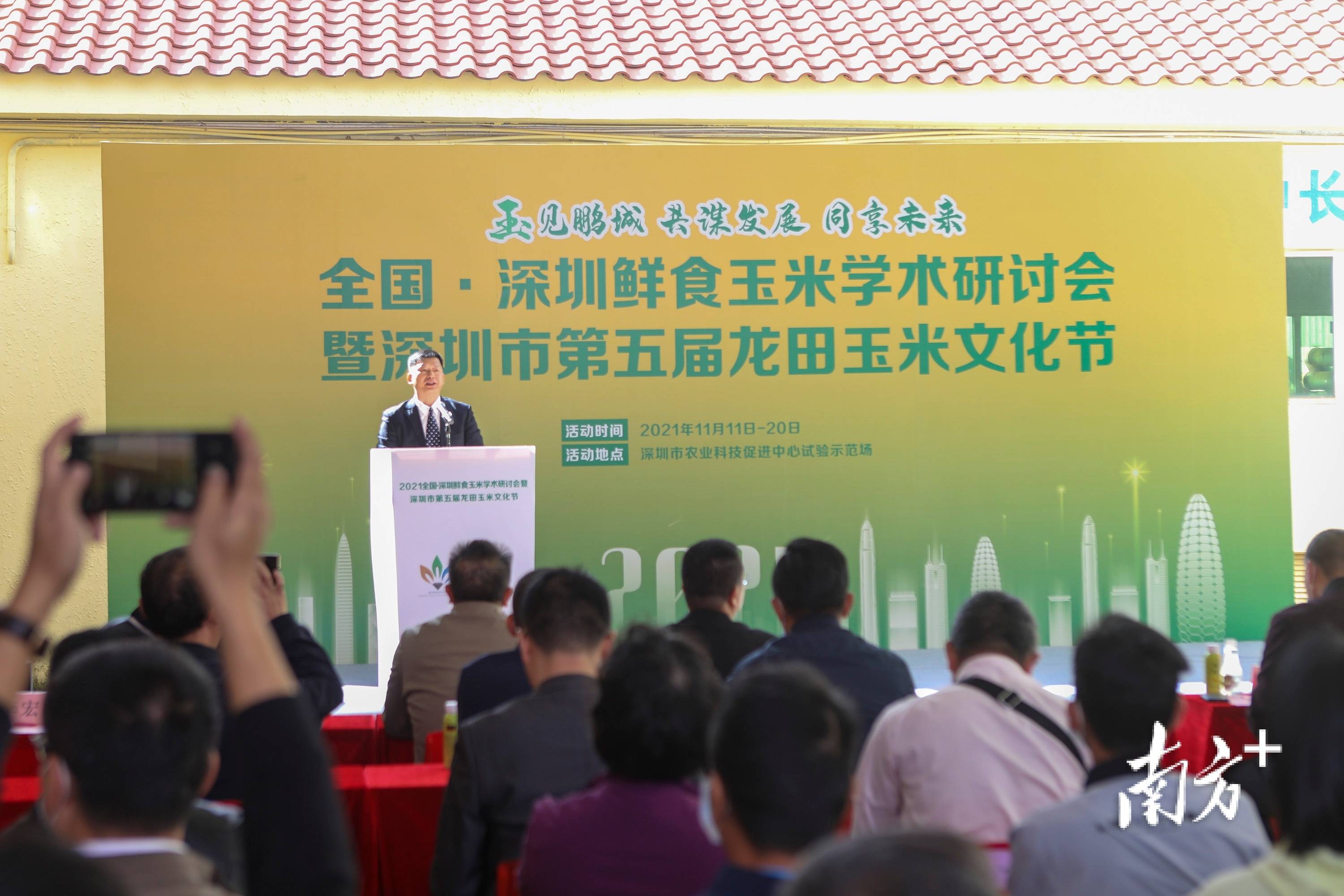 种业|第五届龙田玉米文化节在深圳开幕
