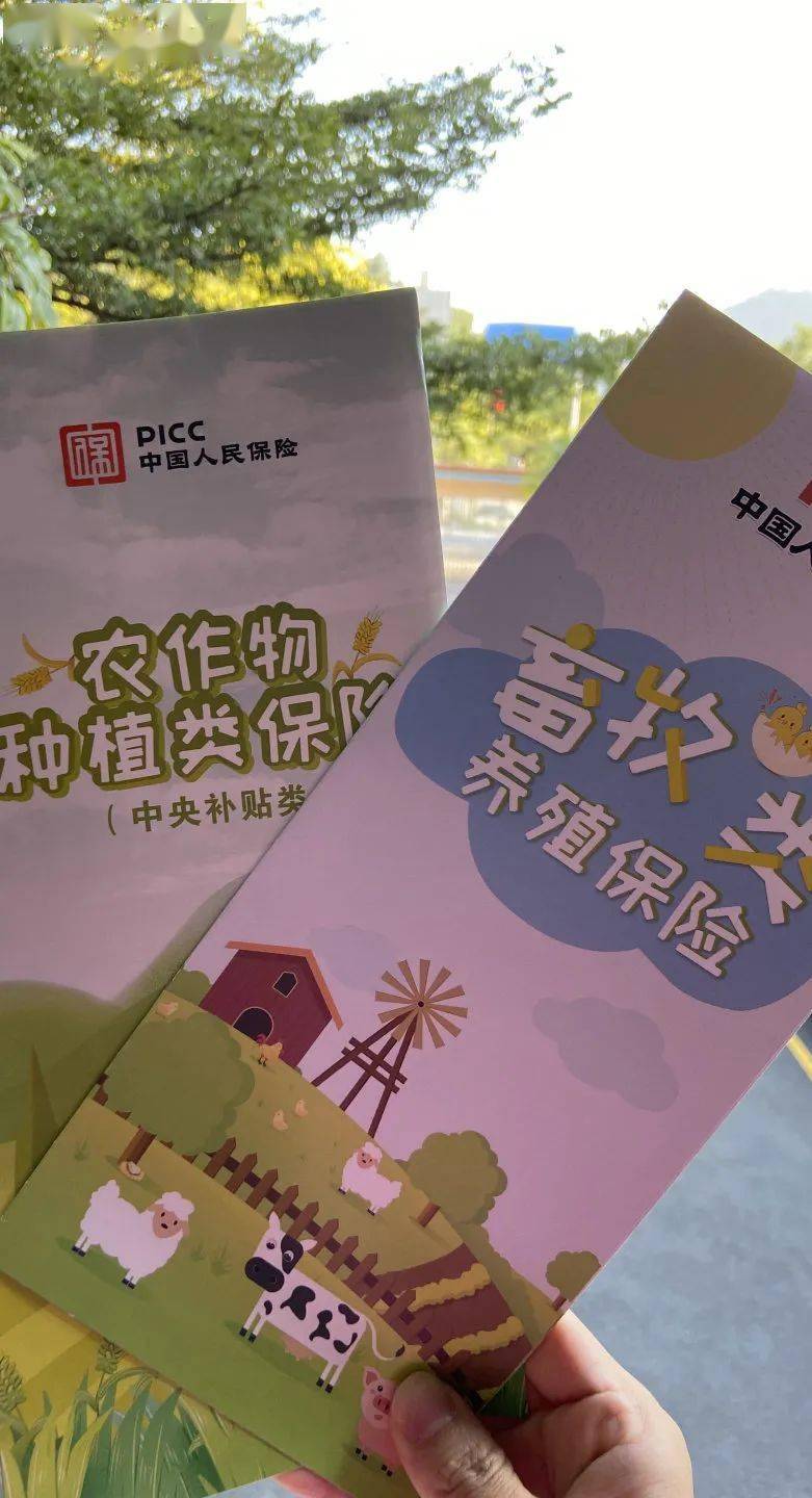 我为群众办实事|高要政策性农业保险让农户吃下发展"定心丸"