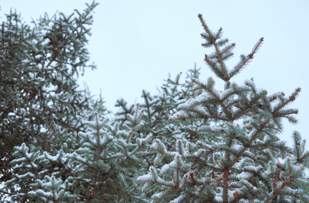 小风|分享雪景！还要注意这个东西