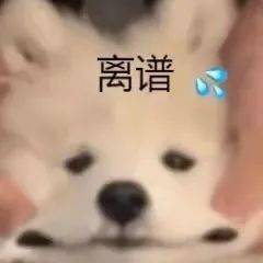 老婆|【聊天室】麻醉没清醒时的迷惑行为，好家伙这是麻倒了还是喝多了？