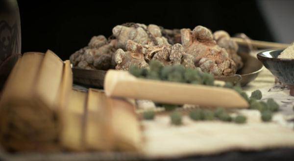 历史|文山三七宣传片——《时光里的三七》