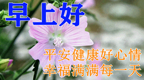 11月11日早上好动态表情图片大全早晨好动图美图大全