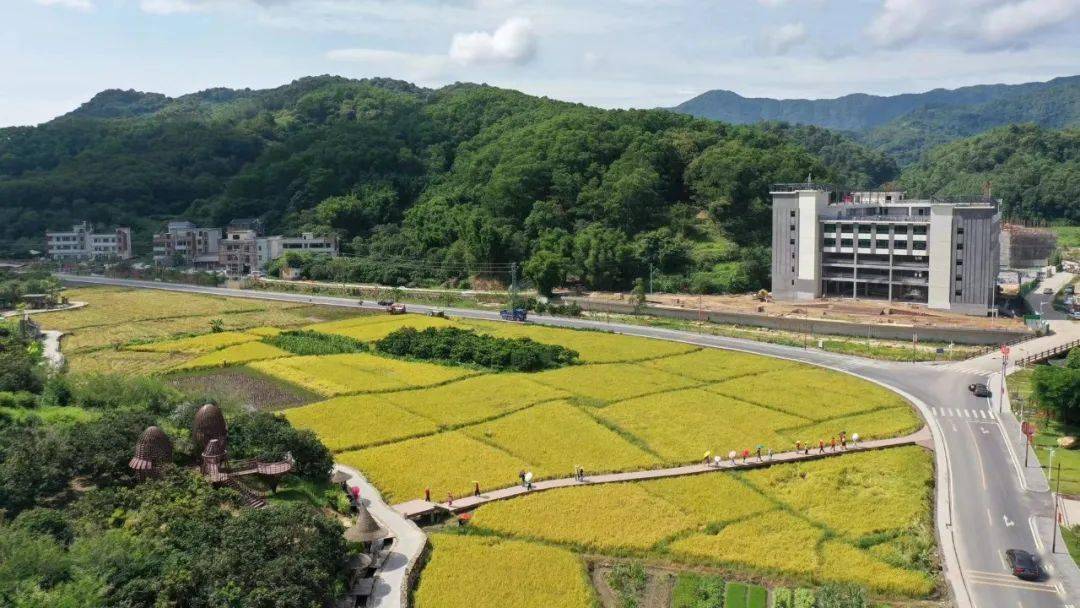 从化罗洞工匠小镇麦田图片