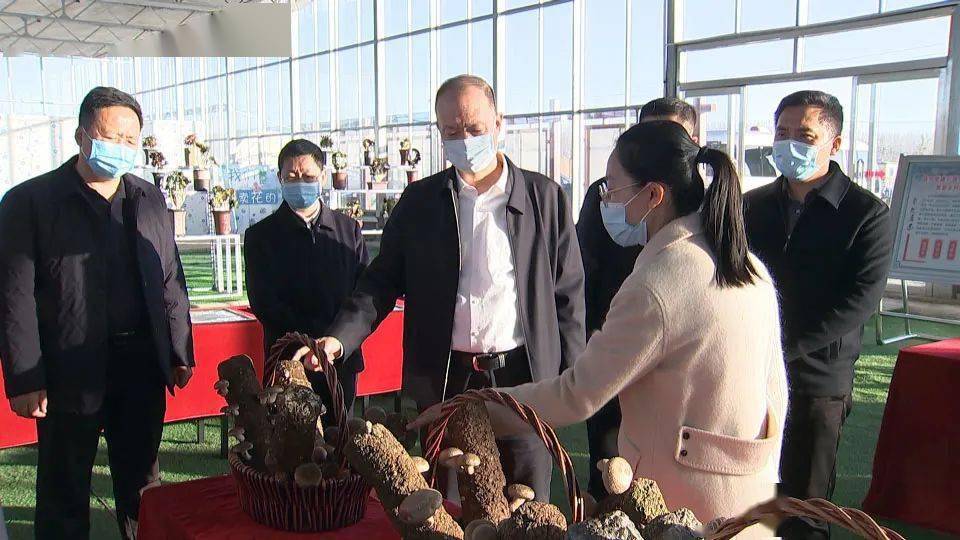 区领导调研农业产业项目并召开群众工作座谈会 