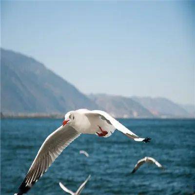 部位|注意：湿气重的人，身上这2个部位会“变大”，再忙也要看看！