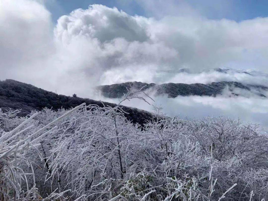 雷公山雪景图片图片