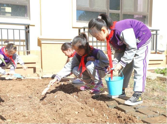 中小学|以“教育兴”促“西兴” 山东省济南市槐荫区校园德育品牌“百花齐放”