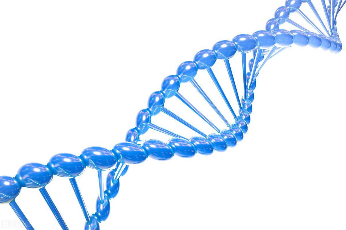 几个月做无创dna最好 4a86de7825fb443d9826733d1a698d59.jpeg