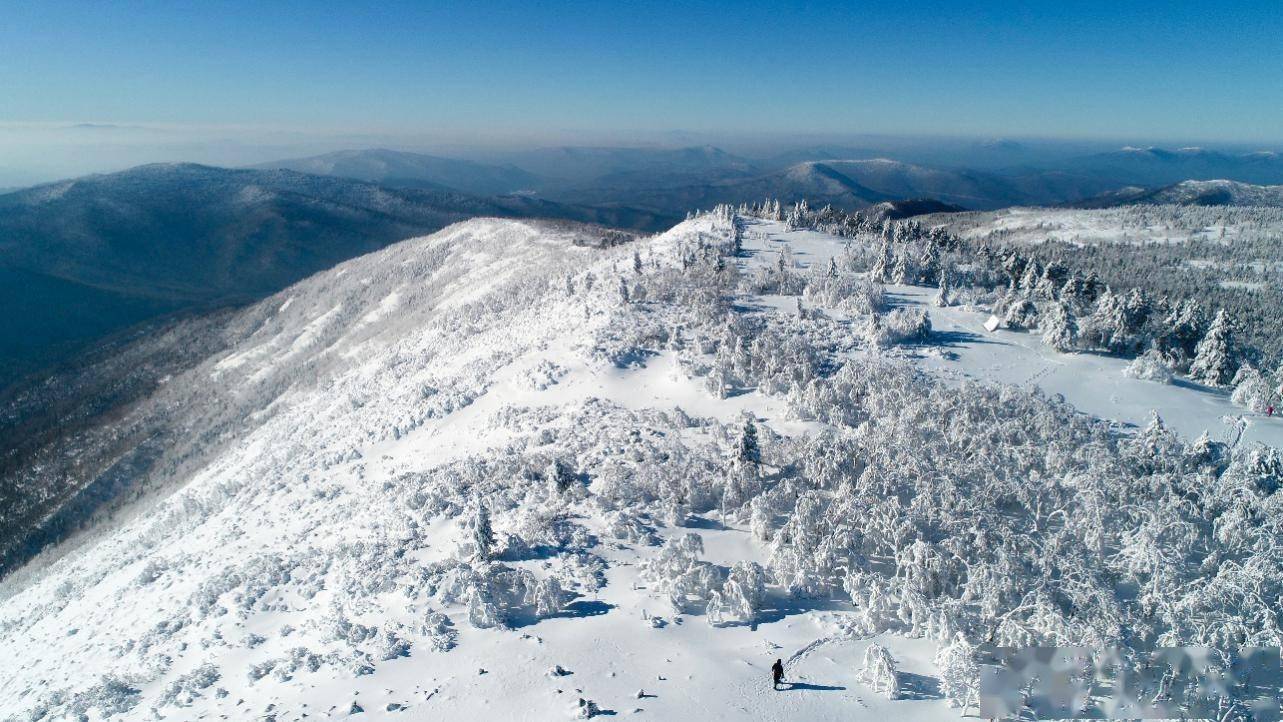 景区|雪深超一米 凤凰山高山雪原“风姿”初现