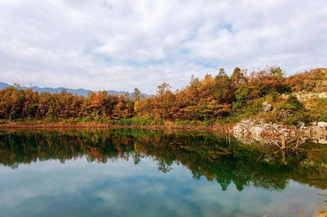 加快推进旅游产业化奋力实现旅游大提质天生湖野生鸳鸯美不胜收