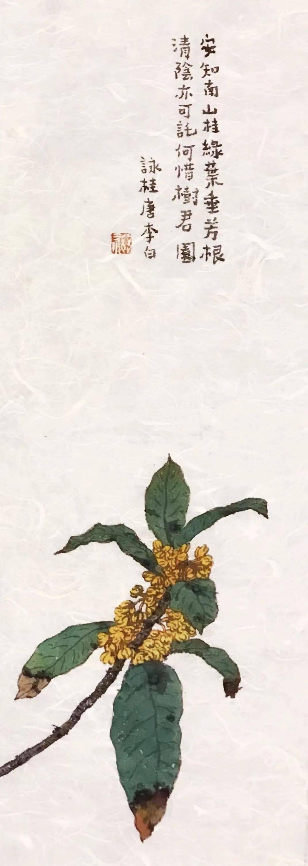 李知弥花儿开满了梦乡梦里都是家乡