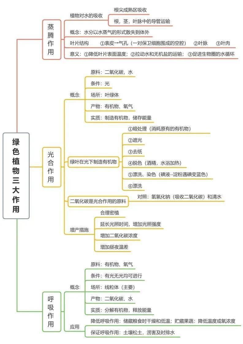 了然|初中生物全册思维导图总结，所有必考点一目 了然！