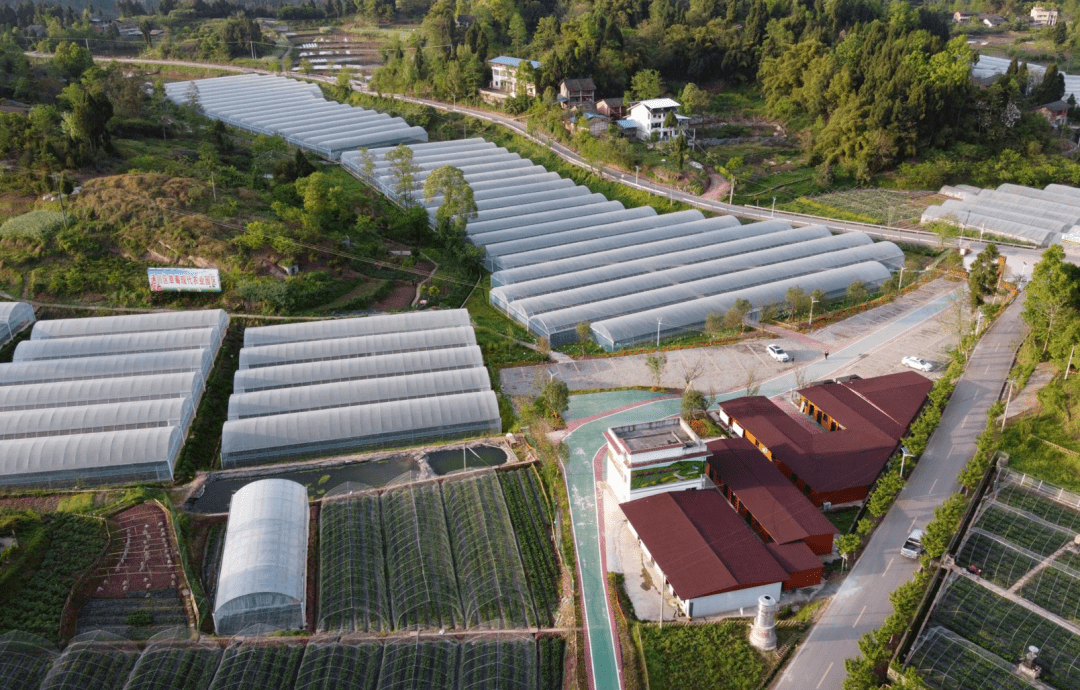 通川區磐石鎮:做實