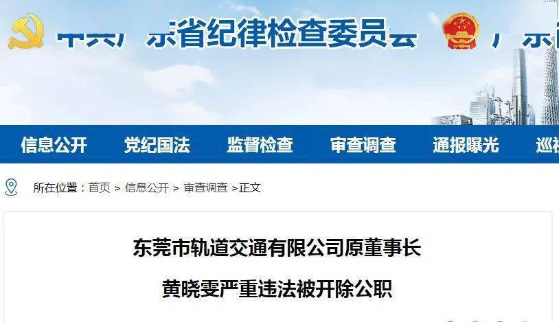 东莞市轨道交通有限公司原董事长黄晓雯严重违法被开除公职_财物