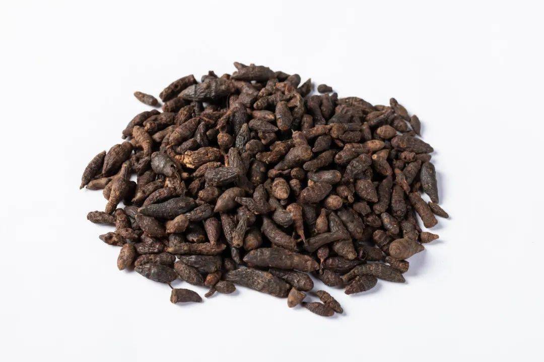 被李时珍誉为女科之主帅的神药香附